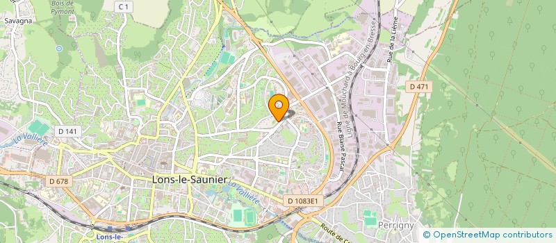 localisation de l'entreprise MADAME VERONIQUE DEBRAY à LONS-LE-SAUNIER