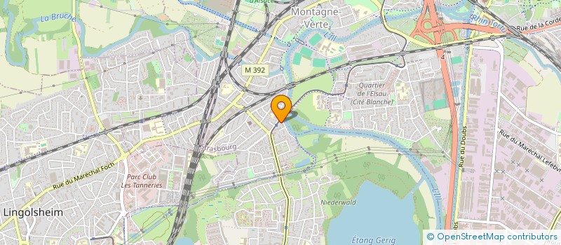 localisation de l'entreprise MADAME VERONIQUE DECLA  STRASBOURG