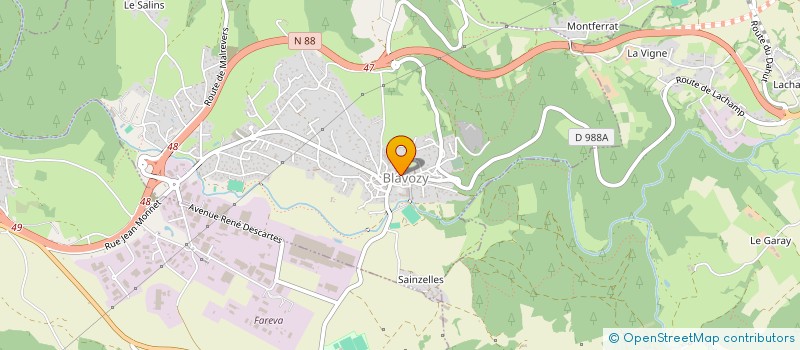 localisation de l'entreprise MADAME VERONIQUE DENOZI  BLAVOZY