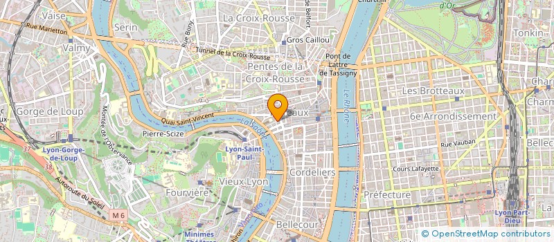 localisation de l'entreprise MADAME VERONIQUE DU COUDRAY WIEHE à LYON