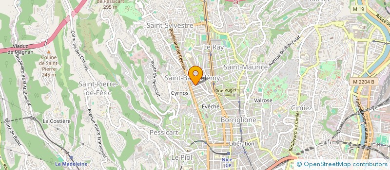localisation de l'entreprise MADAME VERONIQUE DUCHENE à NICE