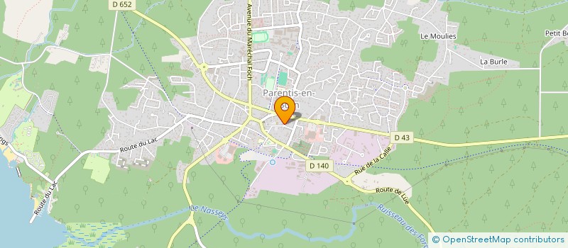 localisation de l'entreprise MADAME VERONIQUE DUJARDIN  PARENTIS-EN-BORN