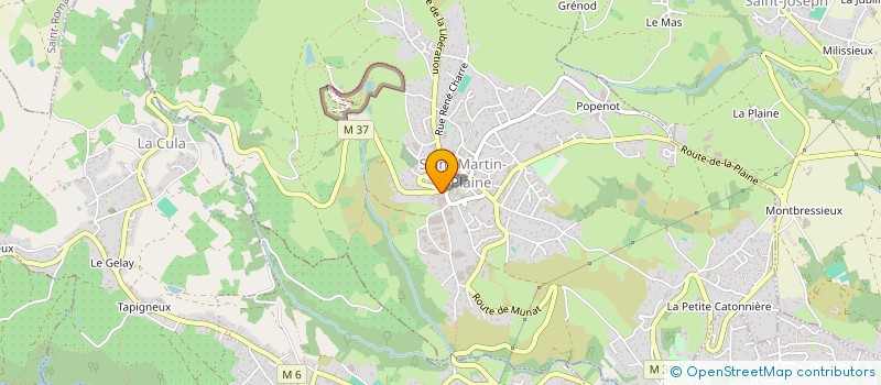 localisation de l'entreprise MADAME VERONIQUE DURAND  SAINT-MARTIN-LA-PLAINE