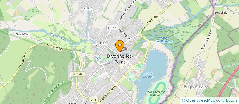 localisation de l'entreprise MADAME VERONIQUE FINE à DIVONNE-LES-BAINS
