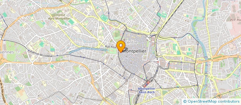 localisation de l'entreprise MADAME VERONIQUE FOUCARD à MONTPELLIER
