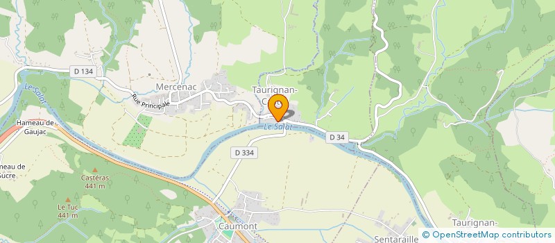 localisation de l'entreprise MADAME VERONIQUE FOURES à LA BASTIDE-DU-SALAT