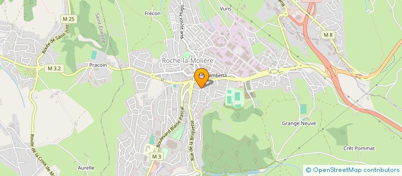 localisation de l'entreprise MADAME VERONIQUE FRANC  ROCHE-LA-MOLIERE