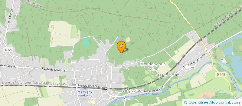 localisation de l'entreprise MADAME VERONIQUE GAULT  MONTIGNY-SUR-LOING