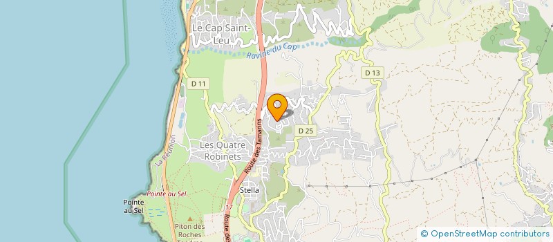 localisation de l'entreprise MADAME VERONIQUE JONAS  SAINT-LEU