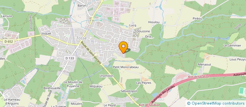 localisation de l'entreprise MADAME VERONIQUE LIETARD  SAINT-VINCENT-DE-TYROSSE