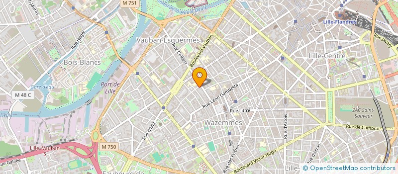 localisation de l'entreprise MADAME VERONIQUE MARCHAND à LILLE