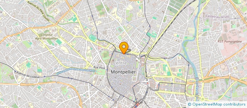 localisation de l'entreprise MADAME VERONIQUE MARKHOFF à MONTPELLIER