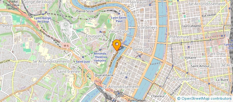 localisation de l'entreprise MADAME VERONIQUE MARTIN  LYON