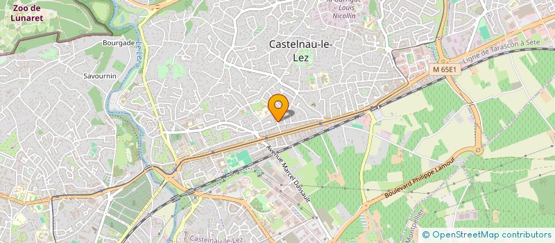 localisation de l'entreprise MADAME VERONIQUE MARTIN à CASTELNAU-LE-LEZ