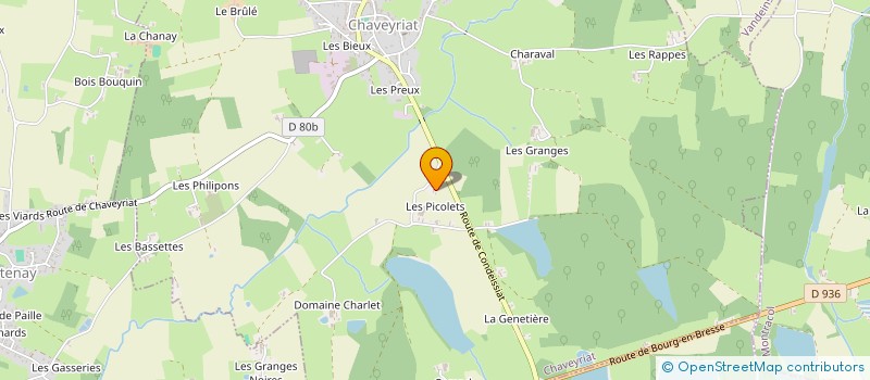 localisation de l'entreprise MADAME VERONIQUE MASSON à CHAVEYRIAT