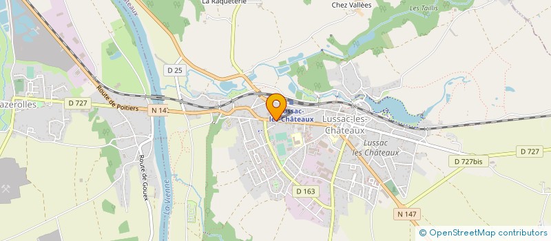 localisation de l'entreprise MADAME VERONIQUE MENAGER  LUSSAC-LES-CHATEAUX