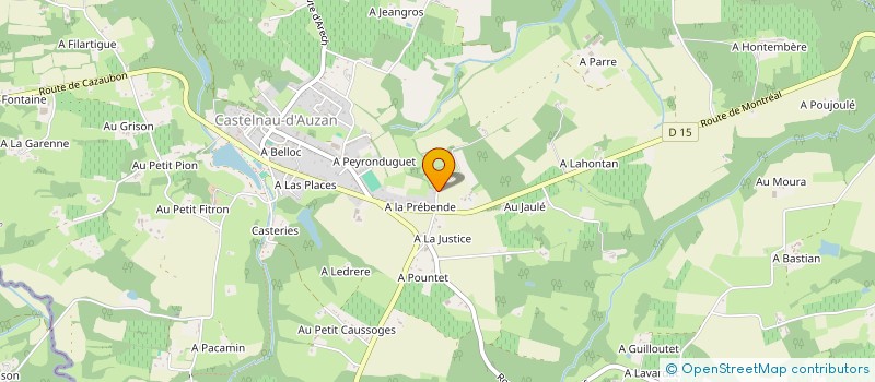 localisation de l'entreprise MADAME VERONIQUE METAYER  CASTELNAU D'AUZAN LABARRERE