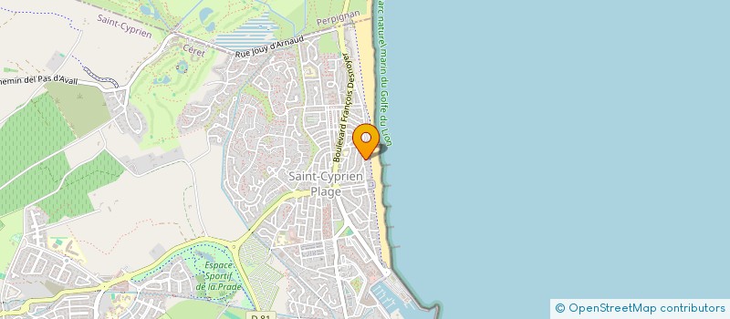 localisation de l'entreprise MADAME VERONIQUE NEGRE  SAINT-CYPRIEN