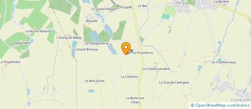 localisation de l'entreprise MADAME VERONIQUE NICOLAS  CHEMILLE-EN-ANJOU