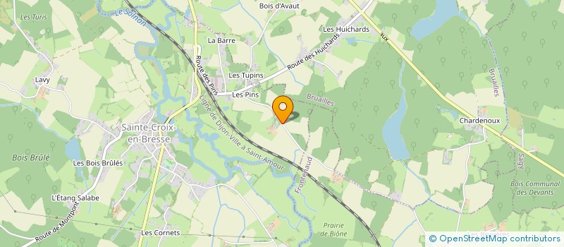 localisation de l'entreprise MADAME VERONIQUE NICOLE  SAINTE-CROIX-EN-BRESSE