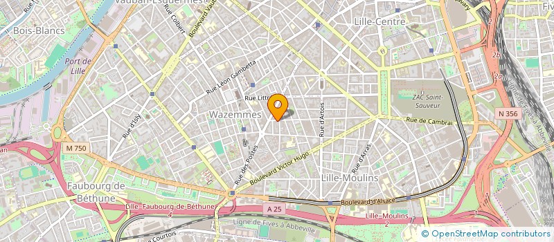 localisation de l'entreprise MADAME VERONIQUE ORACZ à LILLE