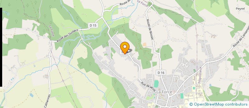 localisation de l'entreprise MADAME VERONIQUE PAIN  LA FORCE