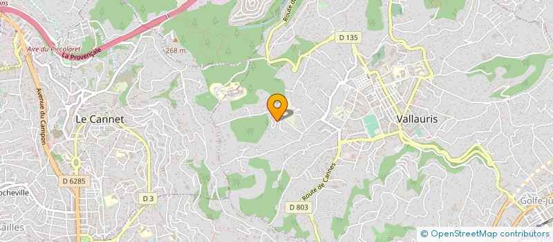 localisation de l'entreprise MADAME VERONIQUE PANAGET  VALLAURIS