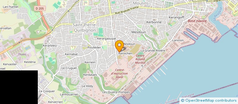 localisation de l'entreprise MADAME VERONIQUE PIRON à BREST