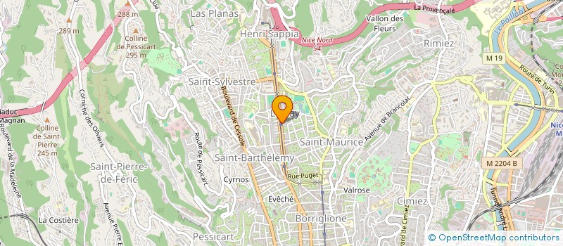 localisation de l'entreprise MADAME VERONIQUE PITANTI à NICE