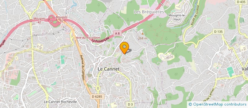 localisation de l'entreprise MADAME VERONIQUE PRIEUL à LE CANNET