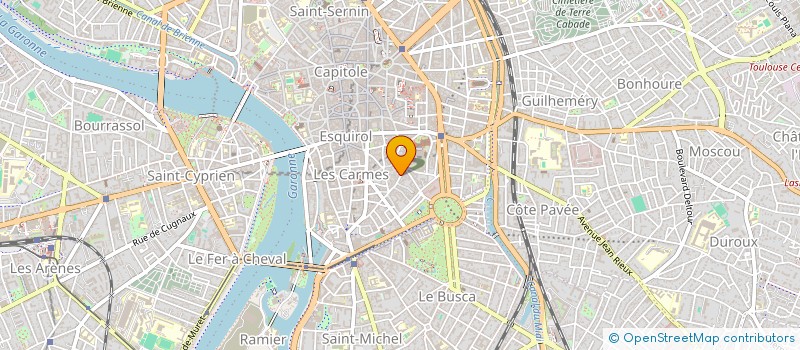 localisation de l'entreprise MADAME VERONIQUE PUJOL  TOULOUSE