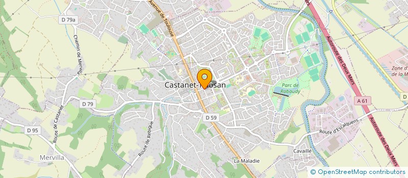localisation de l'entreprise MADAME VERONIQUE RAYNAL à CASTANET-TOLOSAN
