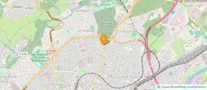 localisation de l'entreprise MADAME VERONIQUE REDON à LIMOGES