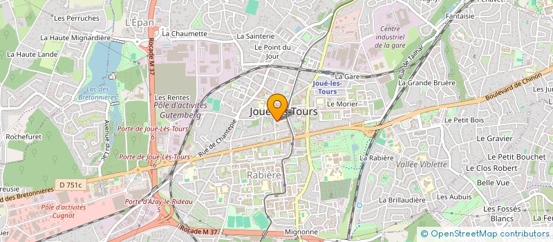 localisation de l'entreprise MADAME VERONIQUE REECHT à JOUE-LES-TOURS