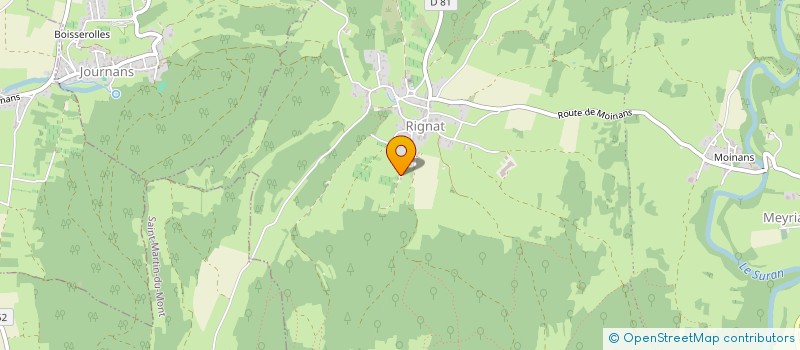 localisation de l'entreprise MADAME VERONIQUE REMY à BOHAS-MEYRIAT-RIGNAT