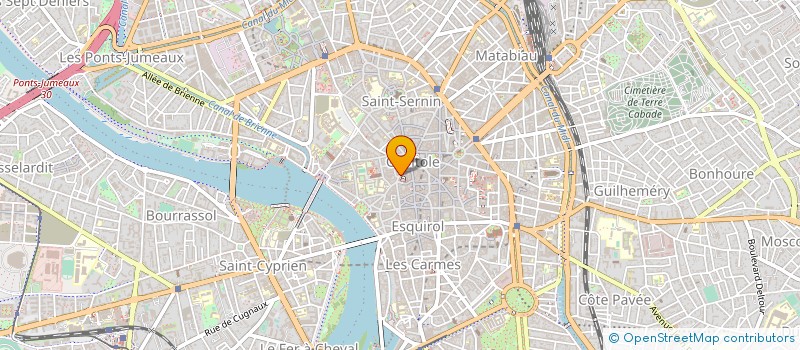 localisation de l'entreprise MADAME VERONIQUE REYNET à TOULOUSE
