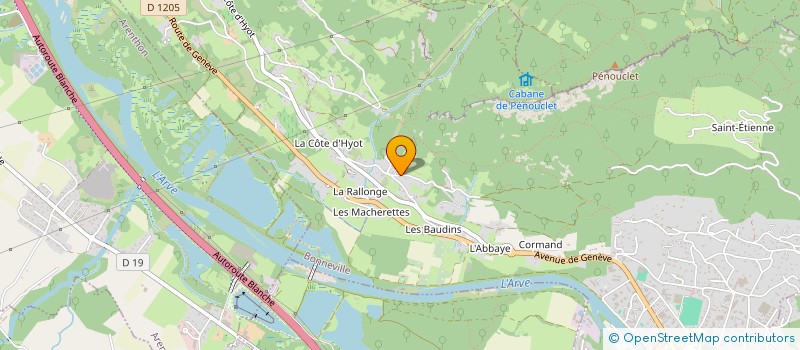 localisation de l'entreprise MADAME VERONIQUE RIBOLA  BONNEVILLE