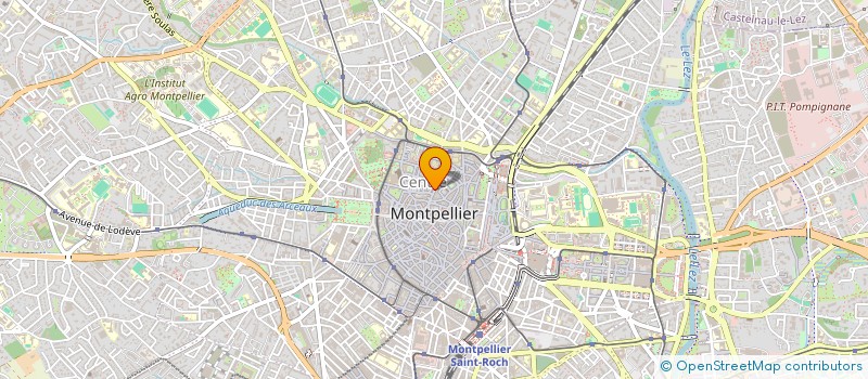 localisation de l'entreprise MADAME VERONIQUE RIVOHARIFININA à MONTPELLIER