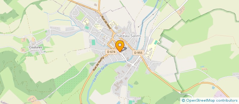 localisation de l'entreprise MADAME VERONIQUE ROBIN  CHATEAU-SALINS