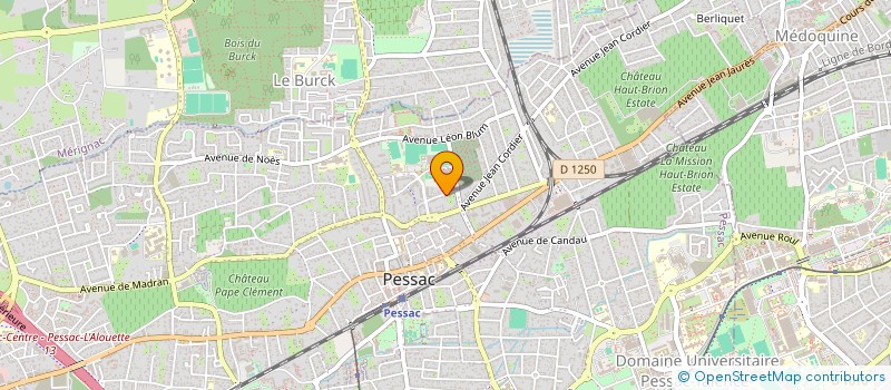 localisation de l'entreprise MADAME VERONIQUE RUMEAU  PESSAC