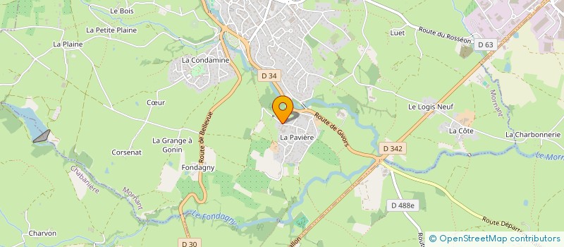 localisation de l'entreprise MADAME VERONIQUE SARZIER  MORNANT