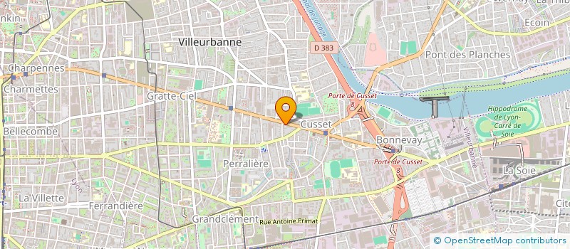 localisation de l'entreprise MADAME VERONIQUE SAVAGE  VILLEURBANNE