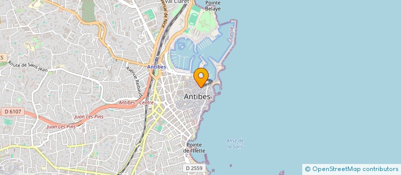localisation de l'entreprise MADAME VERONIQUE SCHNEIDER à ANTIBES
