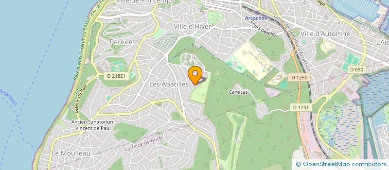 localisation de l'entreprise MADAME VERONIQUE SELLINI  ARCACHON