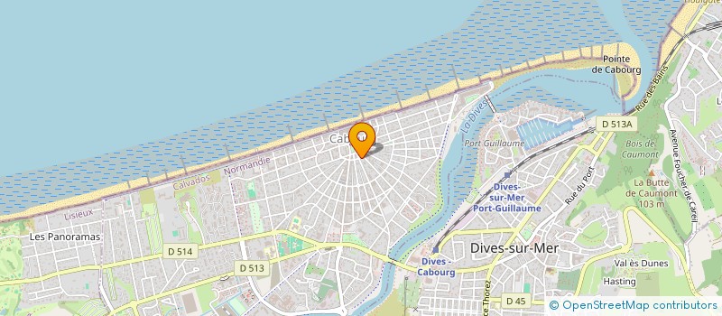 localisation de l'entreprise MADAME VERONIQUE TOUBALEM  CABOURG