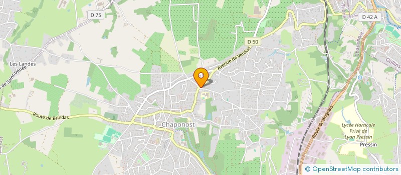 localisation de l'entreprise MADAME VERONIQUE TRUONG  CHAPONOST