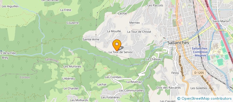 localisation de l'entreprise MADAME VERONIQUE VIDAL DE LA BLACHE à SALLANCHES