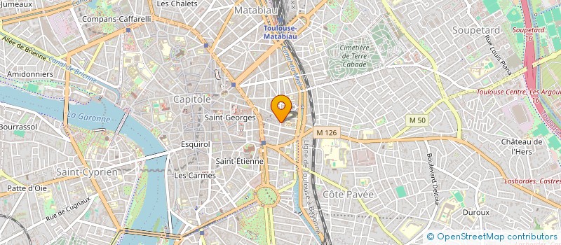 localisation de l'entreprise MADAME VERONIQUE VINCENT à TOULOUSE