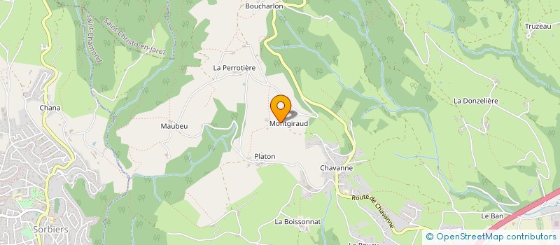 localisation de l'entreprise MADAME VERONIQUE VRAY à SAINT-CHAMOND