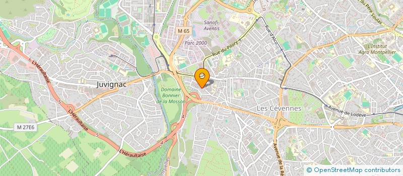 localisation de l'entreprise MADAME VEULIAH-SYRAH SANOGO  MONTPELLIER